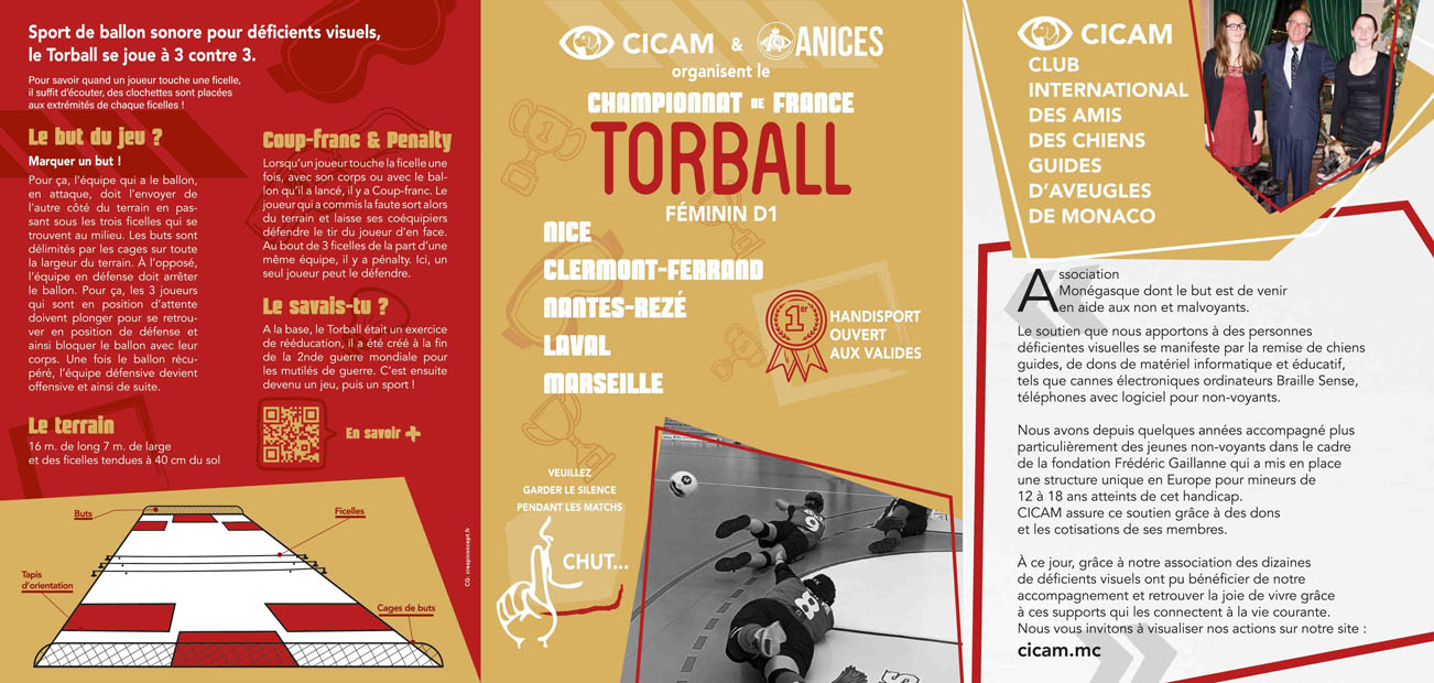 Torball Flyer Recto